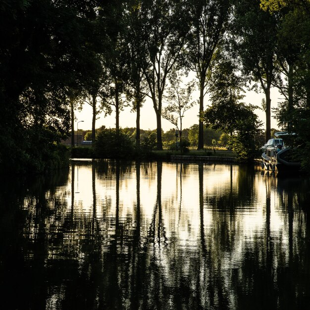 Hermosa foto de un estanque con un barco y rodeado de árboles verdes