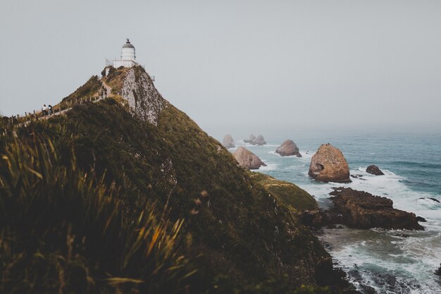 Hermosa foto del faro de nugget point ahuriri en nueva zelanda