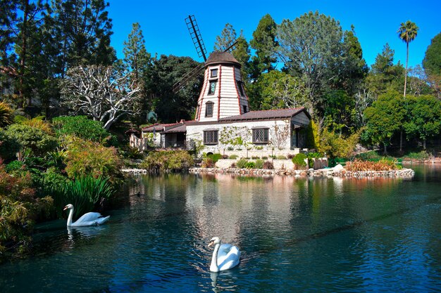 Hermosa foto de una finca con un lago de cisnes rodeado de un paisaje verde