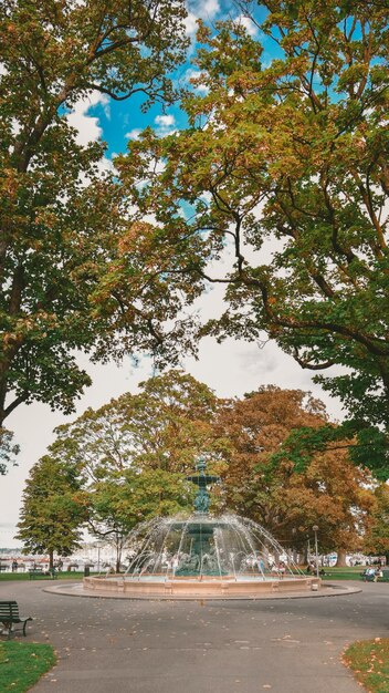 Hermosa foto de una fuente en medio de la calle rodeada de árboles en Suiza