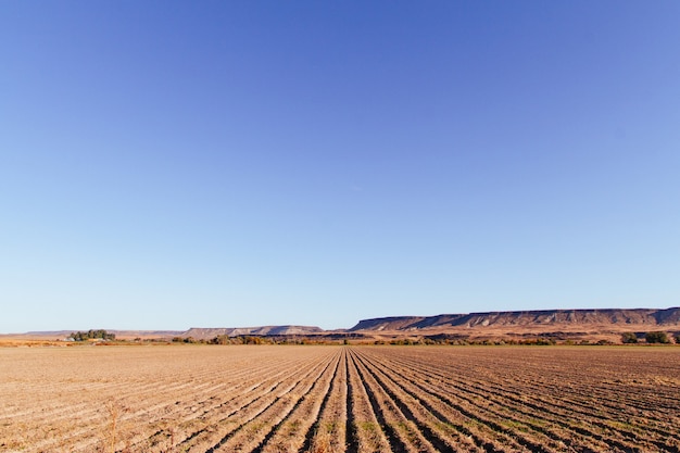 Foto gratuita hermosa foto de un gran campo agrícola con increíble cielo azul claro