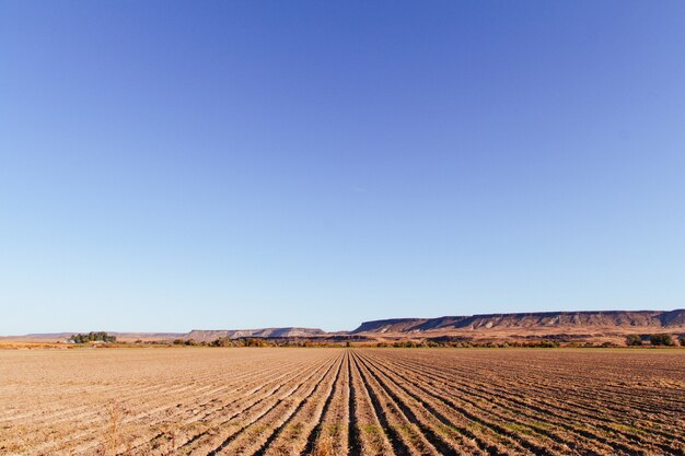 Hermosa foto de un gran campo agrícola con increíble cielo azul claro