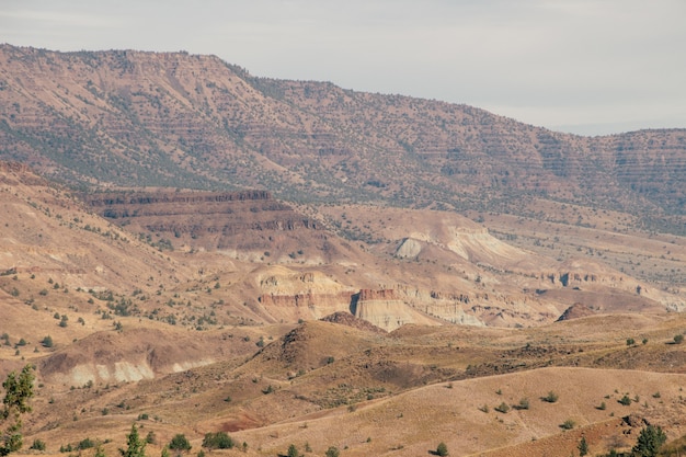 Foto gratuita hermosa foto de un gran desierto de textura con montones de arena