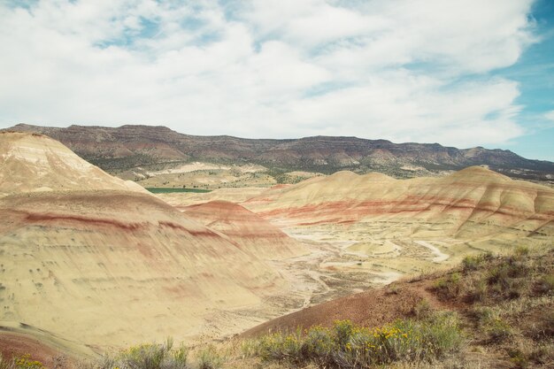 Hermosa foto de un gran desierto de textura