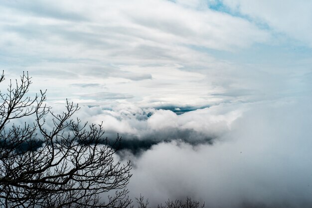 Hermosa foto de grandes nubes blancas en el cielo y ramas de los árboles en el lateral