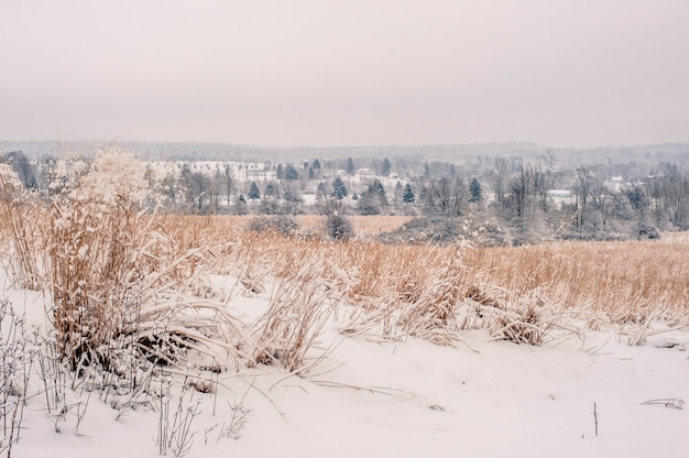 Hermosa foto del increíble paisaje del campo cubierto de nieve en Pennsylvania