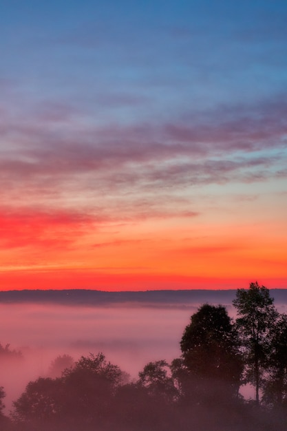 Hermosa foto de la increíble puesta de sol con el cielo rojo sobre un bosque brumoso en el campo