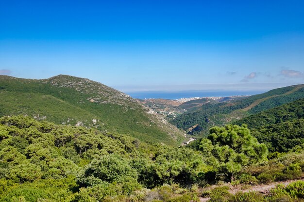 Hermosa foto de los increíbles paisajes bajo el cielo azul en verano