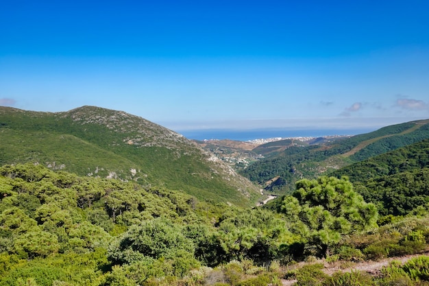 Hermosa foto de los increíbles paisajes bajo el cielo azul en verano