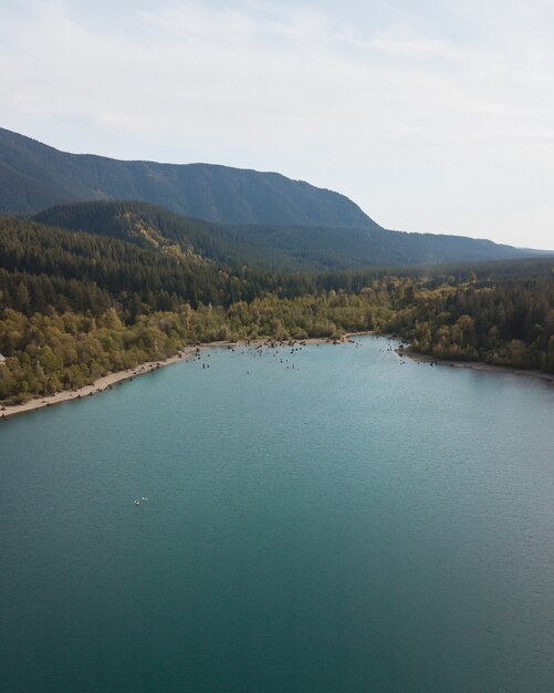 Hermosa foto de un lago entre árboles verdes disparó desde arriba