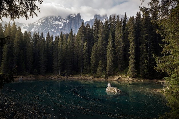 Hermosa foto de un lago azul rodeado de árboles altos