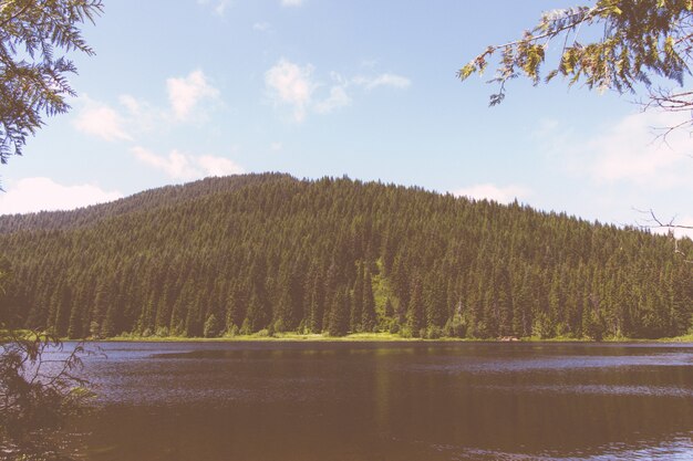 Hermosa foto de un lago con y la montaña más forrest