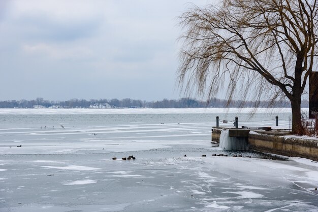 Hermosa foto de un lago y un muelle en invierno, con el agua congelada y árboles muertos durante el día