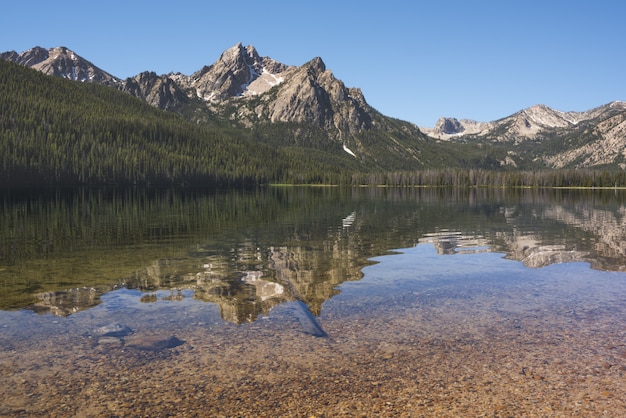 Hermosa foto del lago que refleja los árboles y las montañas en la orilla bajo un cielo azul claro