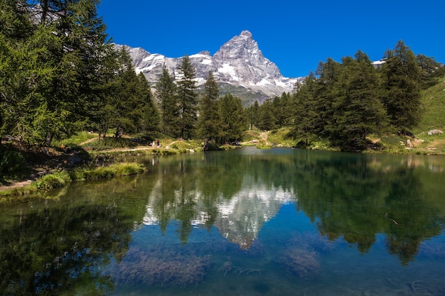 Una hermosa foto de un lago que refleja los árboles en la orilla con una montaña nevada
