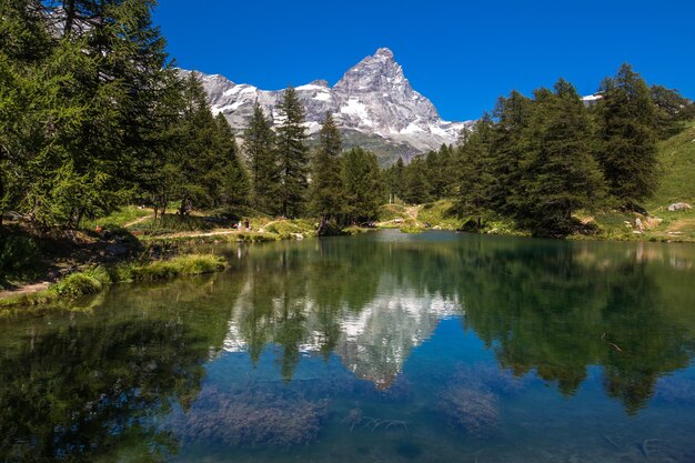 Una hermosa foto de un lago que refleja los árboles en la orilla con una montaña nevada