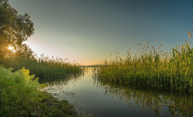 Hermosa foto de un lago rodeado de árboles y arbustos al atardecer