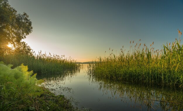 Hermosa foto de un lago rodeado de árboles y arbustos al atardecer