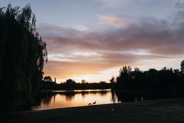 Hermosa foto de un lago rodeado de árboles durante la hora dorada