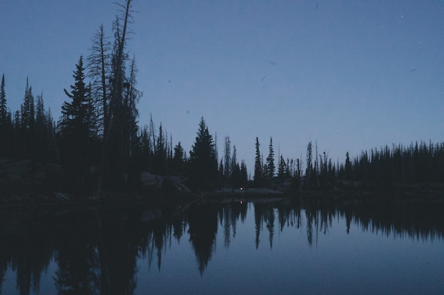 Foto gratuita hermosa foto de un lago rodeado por un bosque