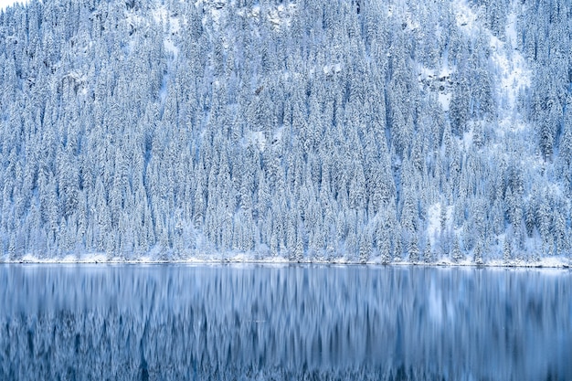 Hermosa foto de un lago tranquilo con montañas boscosas cubiertas de nieve