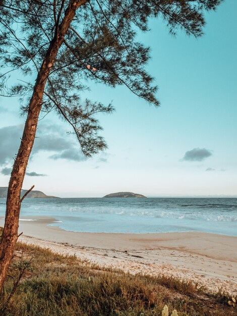 Hermosa foto del mar en la playa de Río de Janeiro durante la puesta de sol con olas rompiendo