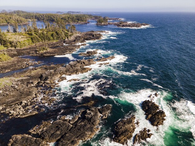 Hermosa foto de un mar rodeado de un bosque y piedras rocosas