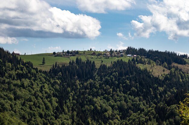 Hermosa foto de una montaña boscosa bajo un cielo azul