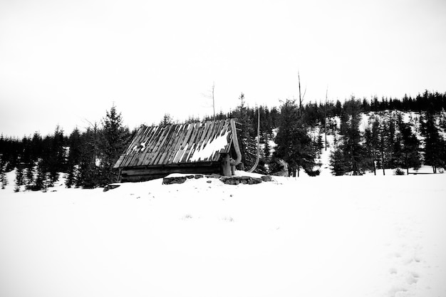 Hermosa foto de una montaña boscosa nevada con una casa abandonada en el medio