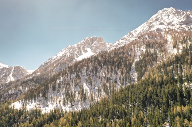 Hermosa foto de montañas nevadas y árboles en una colina