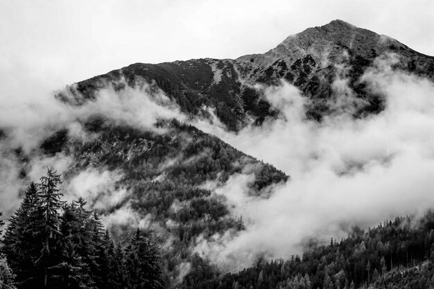 Hermosa foto de montañas de niebla en un bosque