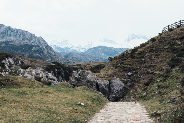 Foto gratuita hermosa foto de las montañas rocosas en un día claro tomada desde la acera