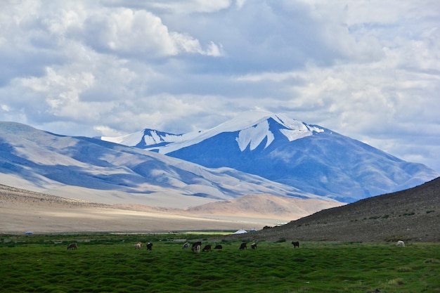 Hermosa foto de montañas y un valle verde