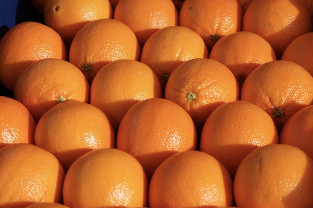 Hermosa foto de naranjas dispuestas juntas brillando bajo el sol