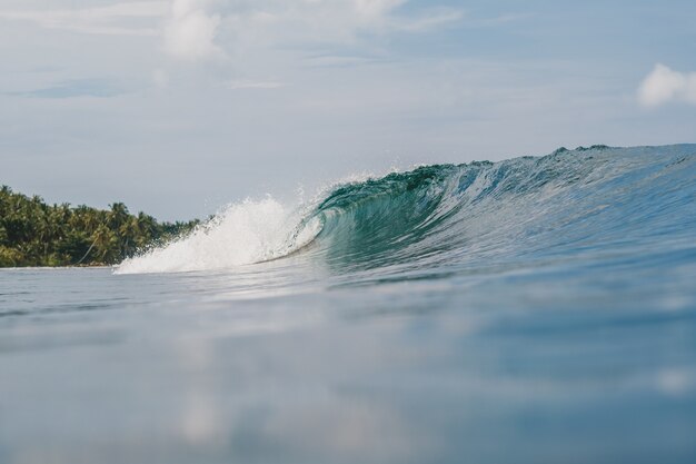 Hermosa foto de las olas del mar con los árboles