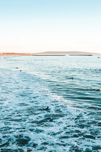 Hermosa foto de las olas del mar con increíbles texturas de agua durante un día soleado en la playa