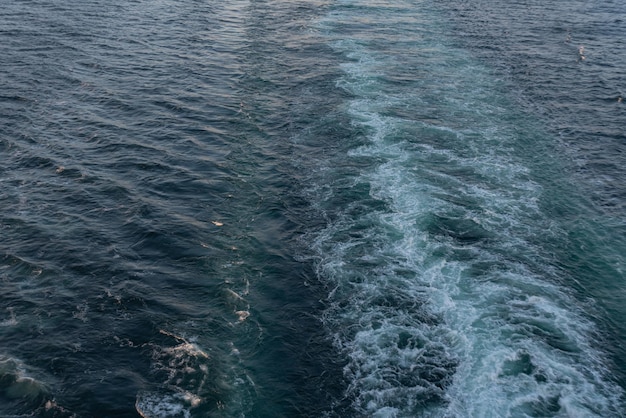 Foto gratuita una hermosa foto de las olas del mar