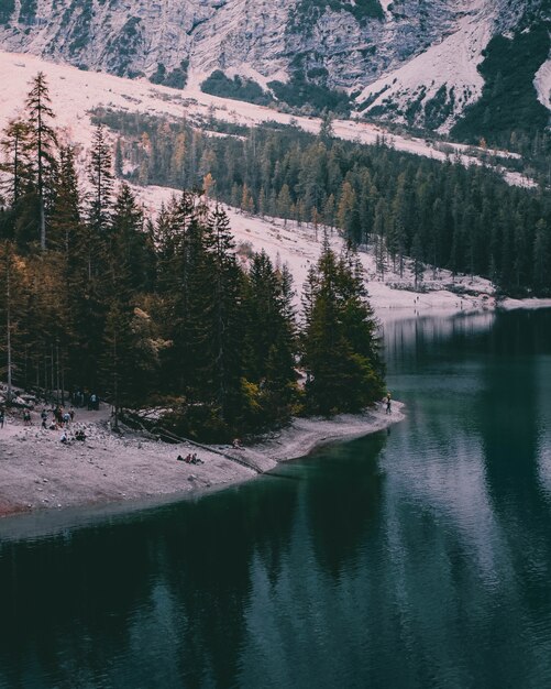 Hermosa foto de paisaje invernal junto al lago