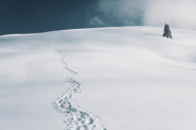 Hermosa foto de un paisaje nevado con huellas en la nieve bajo el cielo azul