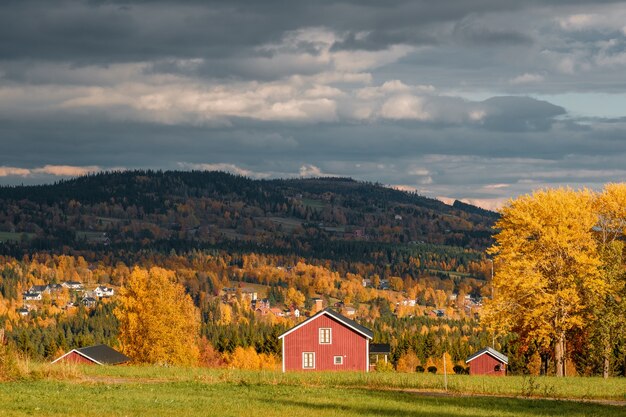 Hermosa foto de un paisaje en otoño