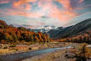 Foto gratuita hermosa foto de un paisaje salvaje al atardecer