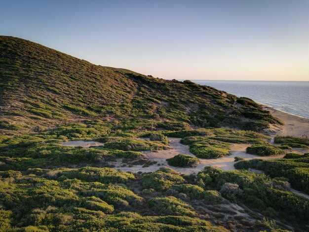 Hermosa foto de paisaje, vegetación a la orilla del mar