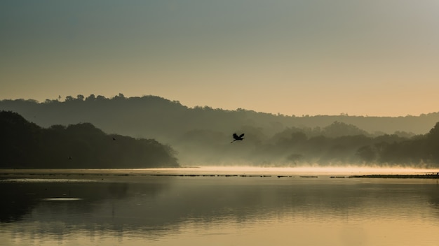 Hermosa foto de un pájaro volando sobre el agua del lago rodeado de montañas y árboles