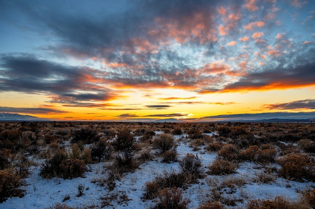 Foto gratuita hermosa foto panorámica de un amanecer sobre un matorral cubierto de nieve