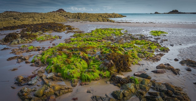 Hermosa foto panorámica de un paisaje de rocas cubiertas de musgo con un mar en calma