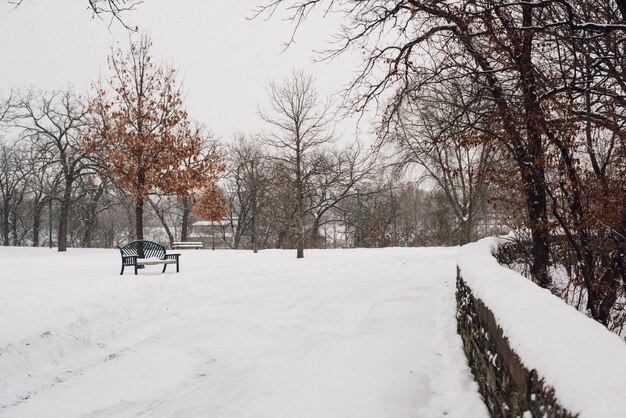 Hermosa foto del parque cubierto de nieve en un frío día de invierno