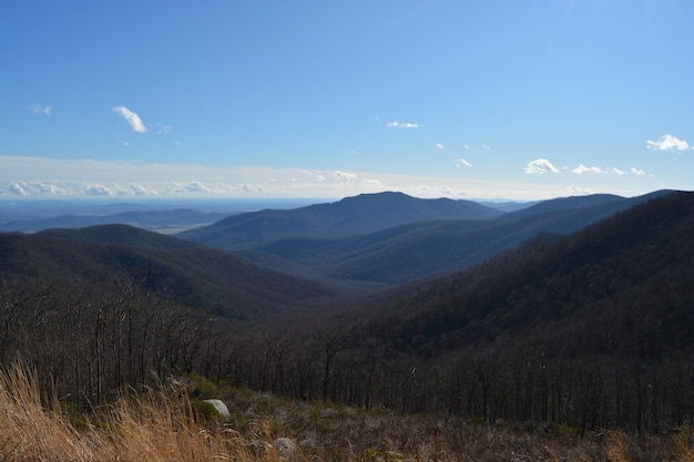 Hermosa foto del Parque Nacional Shenandoah en los Estados Unidos bajo un cielo azul