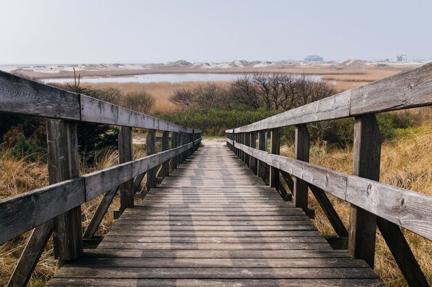 Hermosa foto de un paseo marítimo de madera en el campo con los árboles y la colina en el fondo