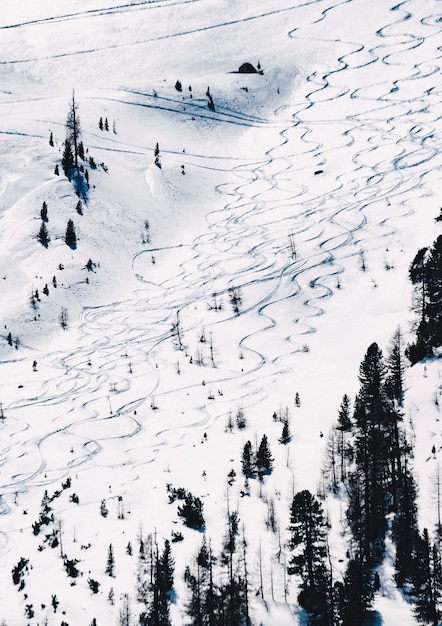 Foto gratuita hermosa foto de una pendiente cubierta de nieve para esquiar