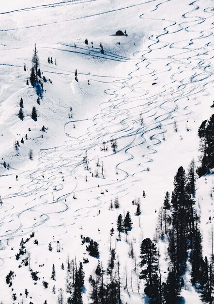 Hermosa foto de una pendiente cubierta de nieve para esquiar